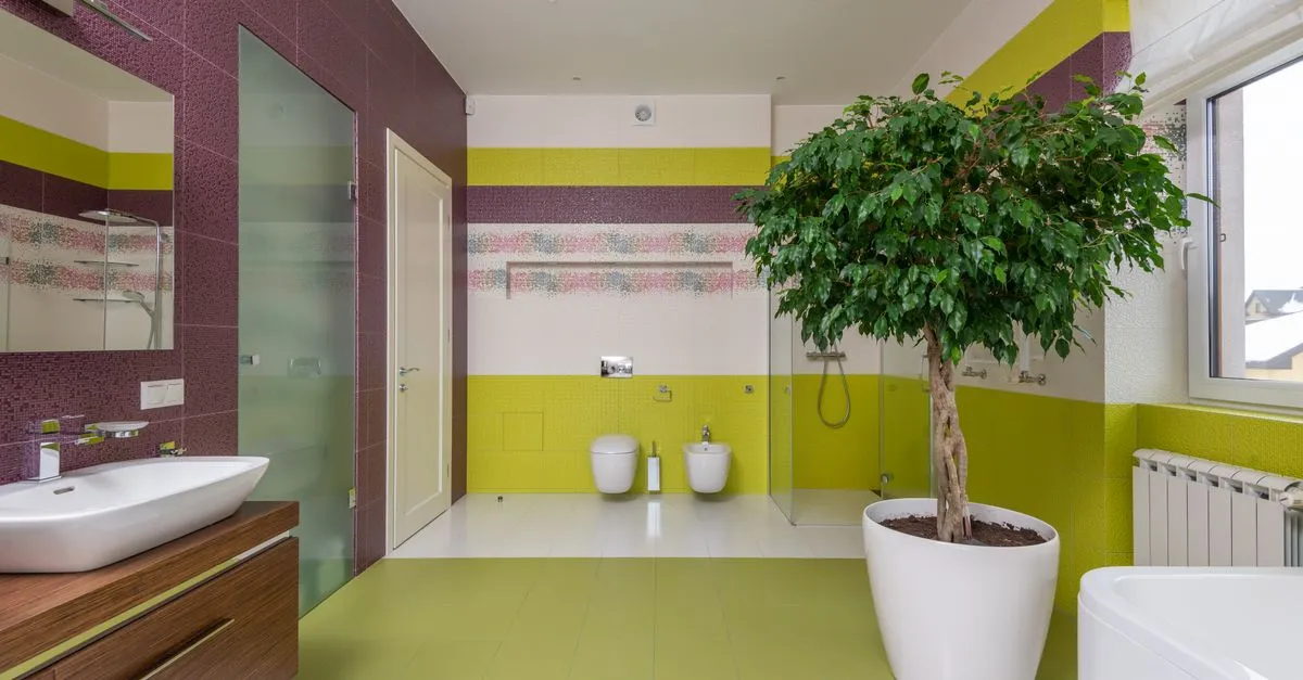 7 Houseplants That Thrive in a Bathroom
