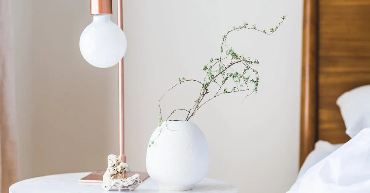 Best Bedroom Plants for Nighttime Oxygen