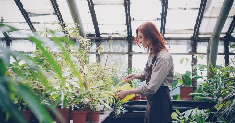 Best grow lights for indoor plants