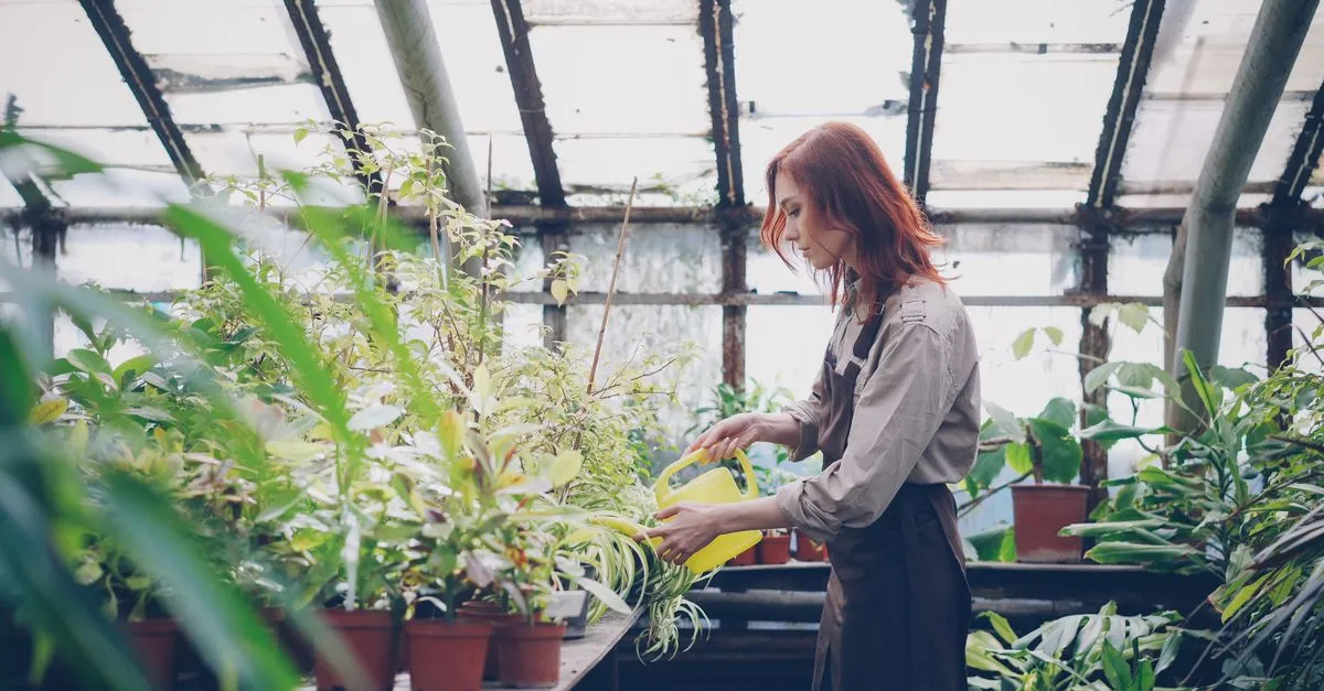 Best grow lights for indoor plants