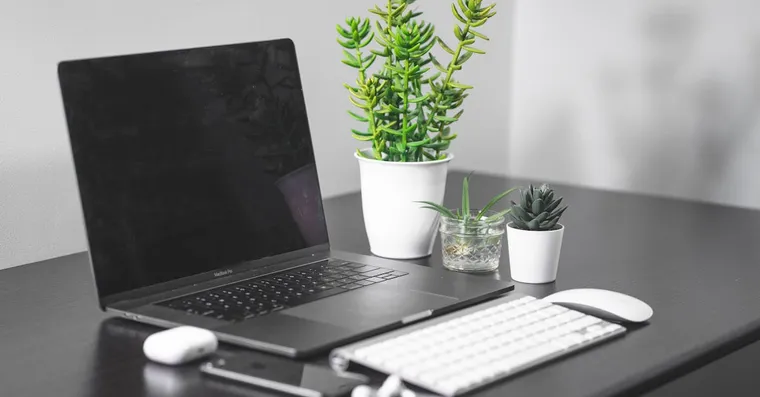 Best Houseplants for a Home Office