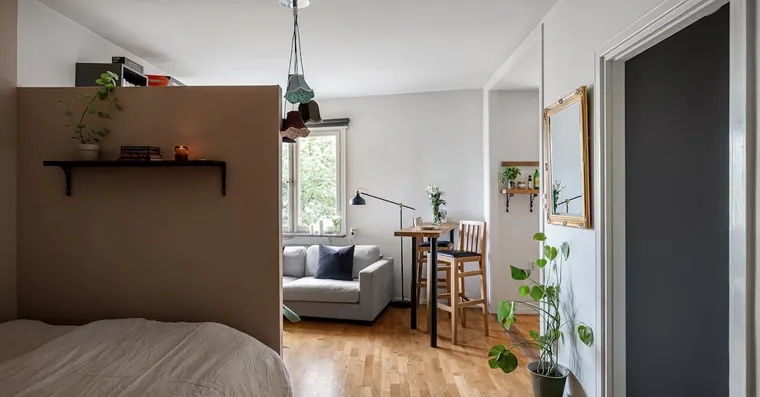 8 Best Houseplants for Small Spaces