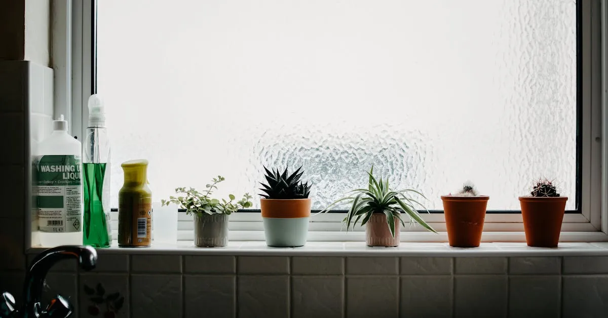7 Best Plants for a Kitchen Windowsill and Worktop