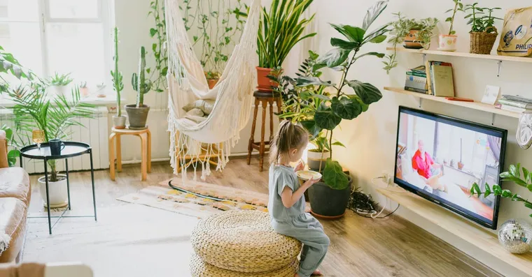 9 Best Living Room Plants, From Statement to Easy
