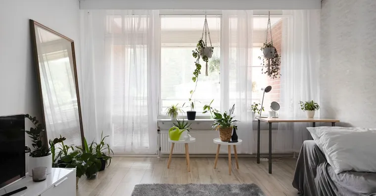 Biophilic Design at Home: Using Plants to Feel Better Indoors