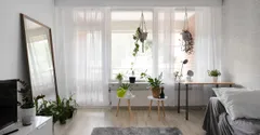 Biophilic Design at Home: Using Plants to Feel Better Indoors