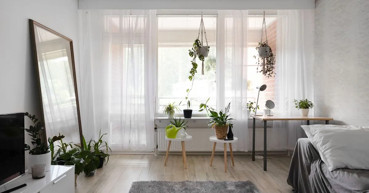 Biophilic Design at Home: Using Plants to Feel Better Indoors