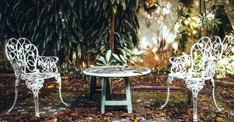 Cast Iron Plant Care: The Near-Indestructible Aspidistra