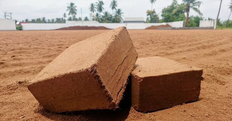 Coco Coir vs Peat Moss: Which Is Better for Houseplants?
