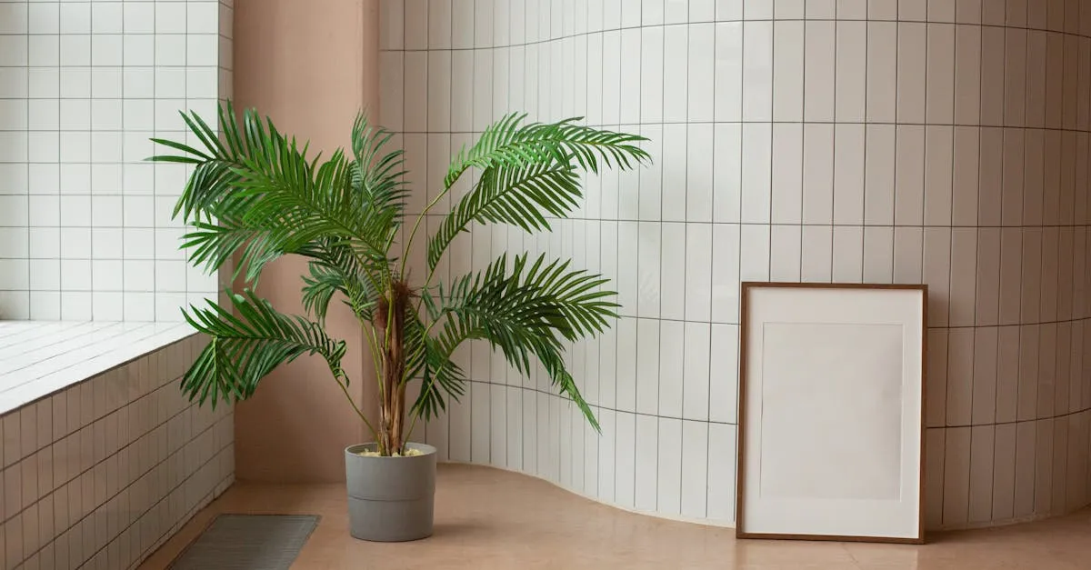 Feng Shui Houseplants: Where to Place Them