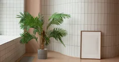 Feng Shui Houseplants: Where to Place Them