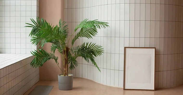 Feng Shui Houseplants: Where to Place Them