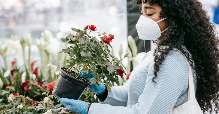 Common Houseplant Shopping Mistakes (and How to Avoid Them)