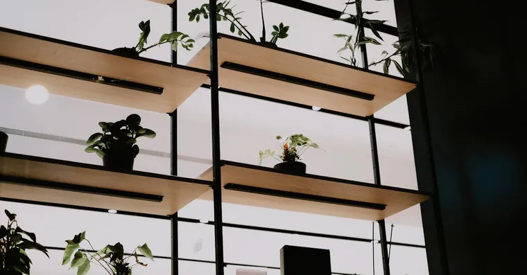 Houseplants and Babies: Keeping a Home Safe for Small Children
