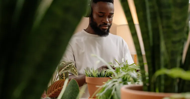 Houseplants and Mental Health: What Caring for Plants Does