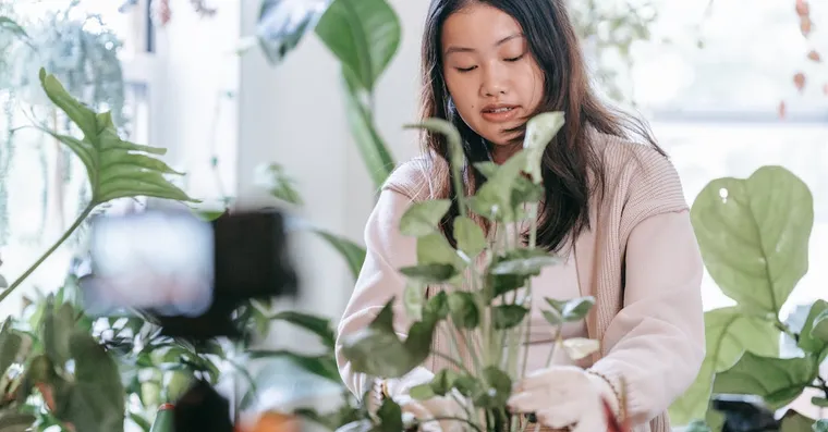 Can Houseplants Reduce Stress?