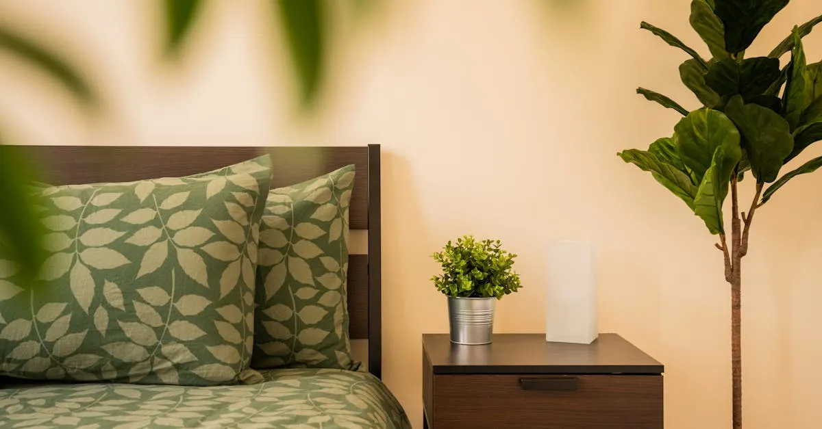 Houseplants for a Better Night's Sleep