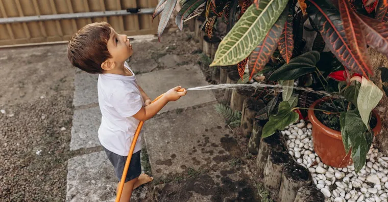 Houseplants for Kids: Easy Plants That Children Can Grow