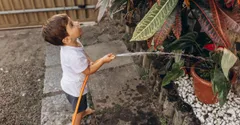 Houseplants for Kids: Easy Plants That Children Can Grow