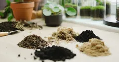How to Build a Closed Terrarium That Lasts