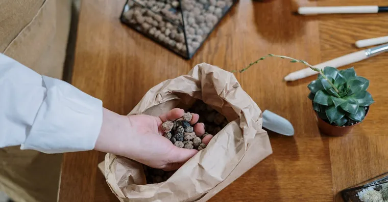 LECA and Semi-Hydroponics: Is It Worth Switching?
