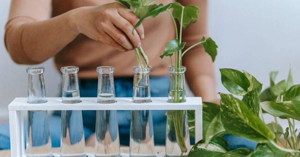 Propagating in Water vs Soil: Which Is Better for Cuttings?