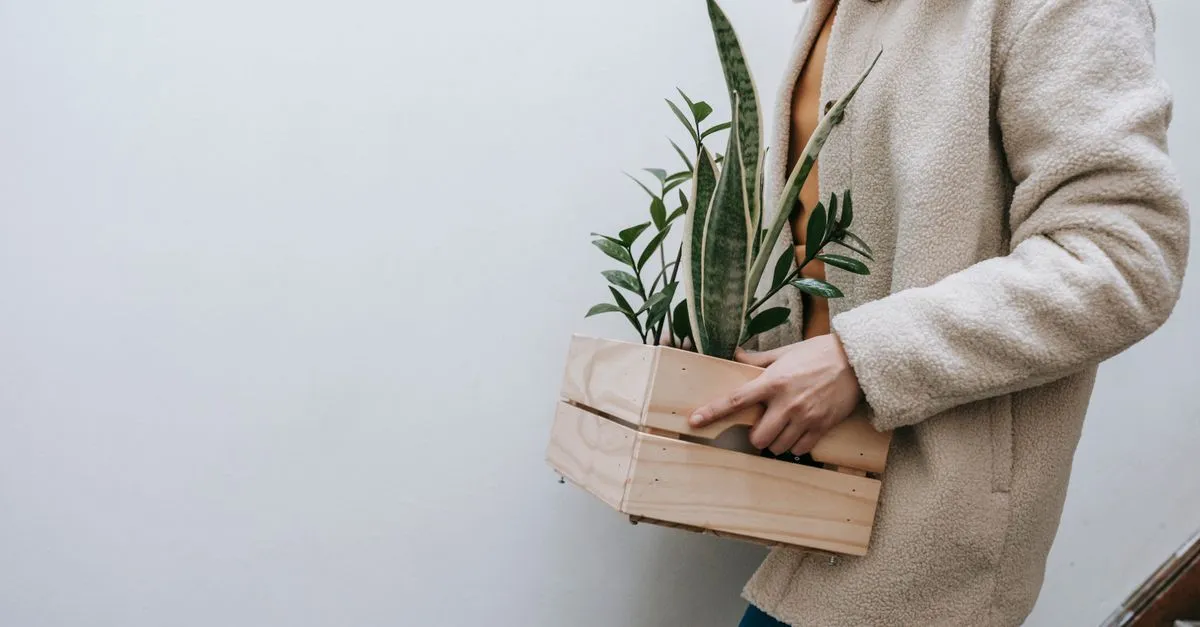 How to Quarantine a New Houseplant (and Why It Matters)