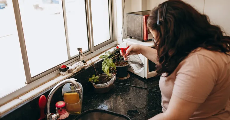 Self-Watering Pots: Do They Actually Work?
