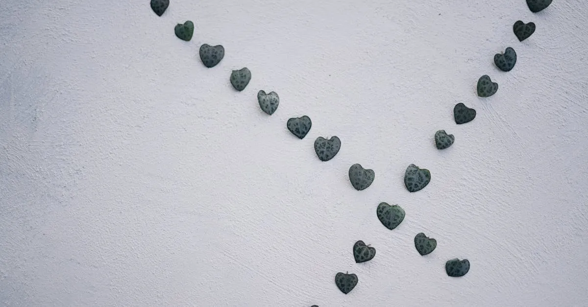 String of Hearts Care: Growing Ceropegia Woodii Indoors
