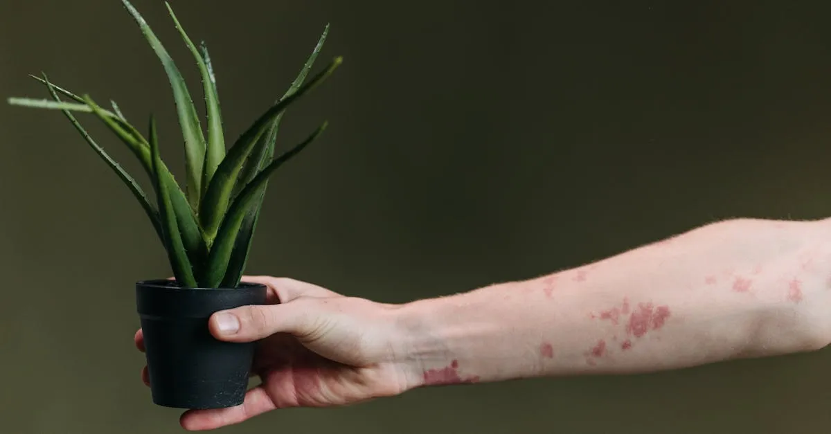 Thrips on Houseplants: Identifying and Treating Them
