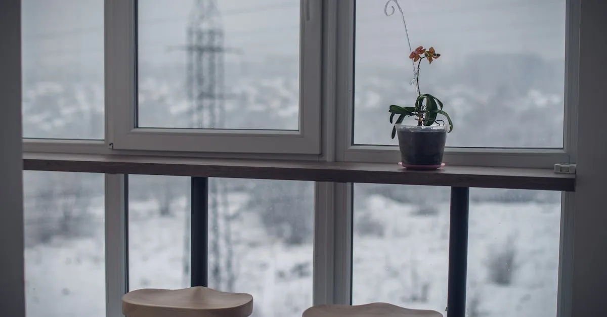 Winter Houseplant Care: Watering, Light, and Heating