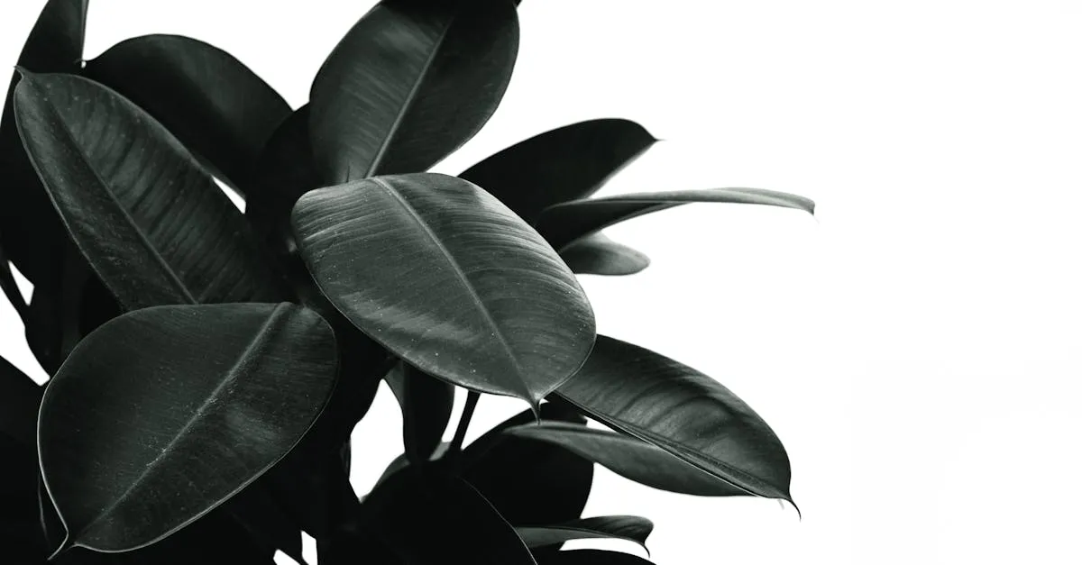 Yellow Leaves on Houseplants: The Complete Diagnosis Guide