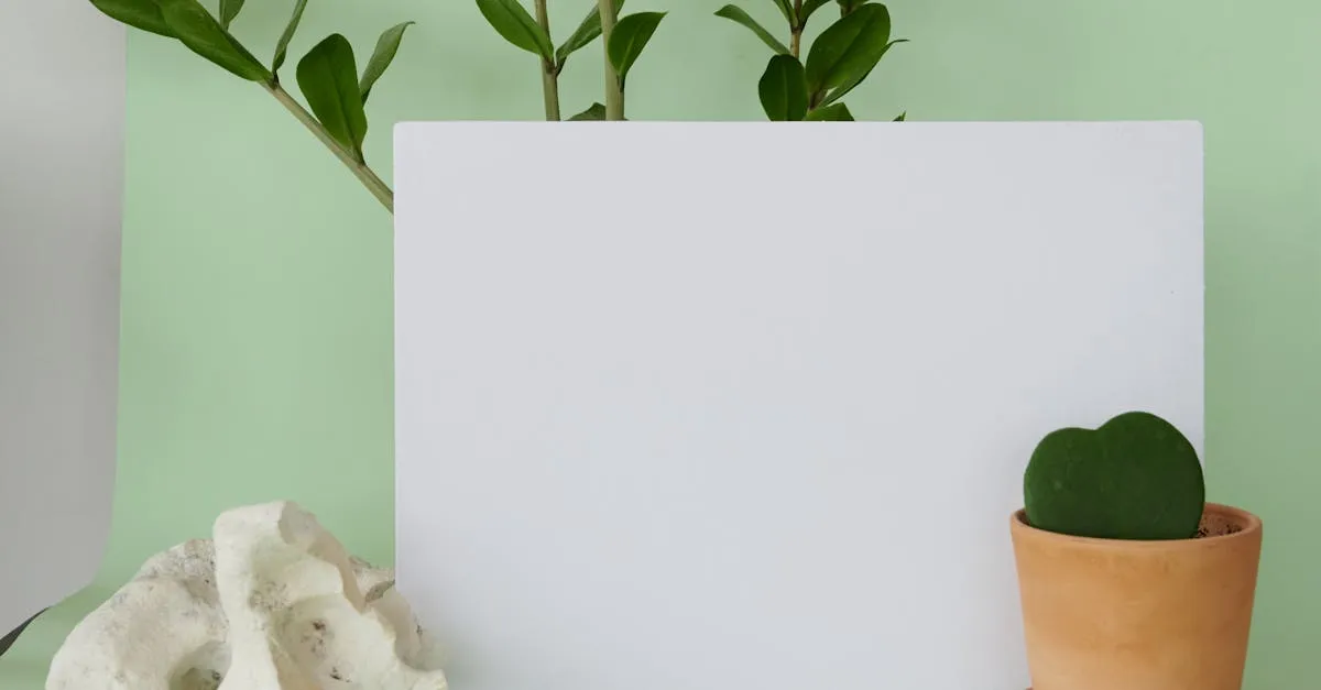 ZZ Plant Care: Growing the Near-Indestructible Houseplant
